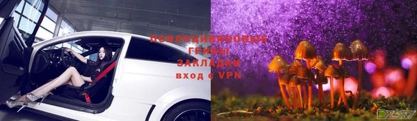 твердый Каменногорск