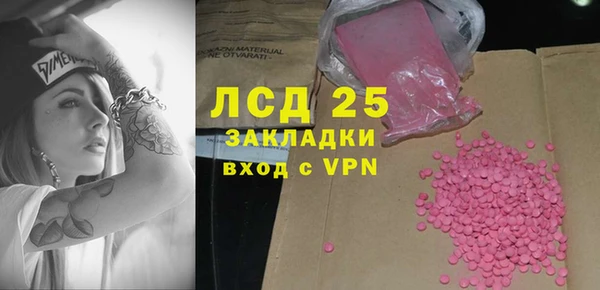 ALPHA PVP Каменка