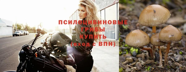 прущий лед Каменск-Шахтинский