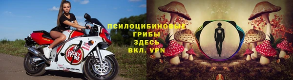 прущий лед Каменск-Шахтинский